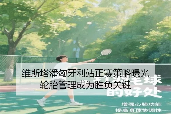 维斯塔潘匈牙利站正赛策略曝光 轮胎管理成为胜负关键