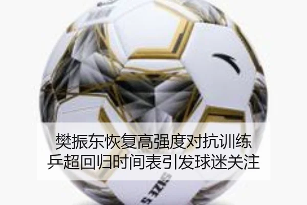 樊振东恢复高强度对抗训练 乒超回归时间表引发球迷关注