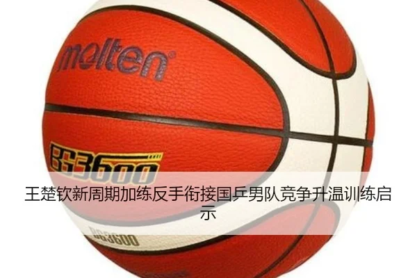 王楚钦新周期加练反手衔接国乒男队竞争升温训练启示
